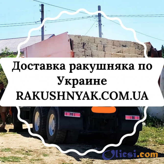 Продажа с доставкой камня ракушняка по Украине. - изображение 1