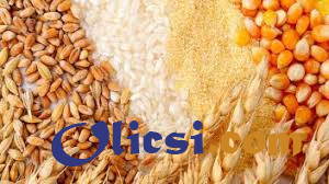 Купить зерно и зерновые Украинского происхождения - изображение 1