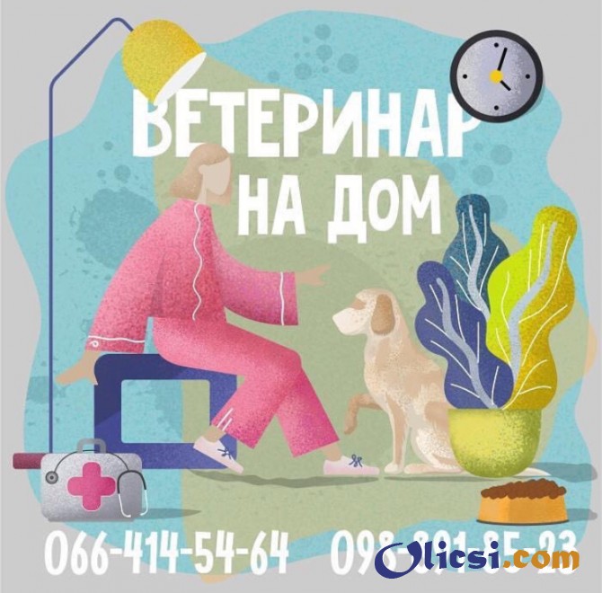Ветеринар на дом в Харькове - изображение 1