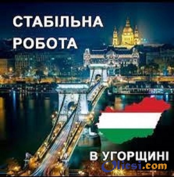 Працевлаштування за кордоном. Робота в Угорщині. Робота в Європі - изображение 1