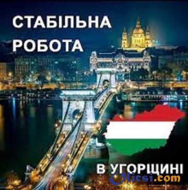 Офіційна робота в Угорщині. Робота в Європі - изображение 1